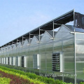 Systèmes hydroponiques Polycarbonate Green House